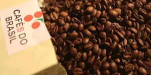 Dünyada Kahve Üretimi ve Ticareti